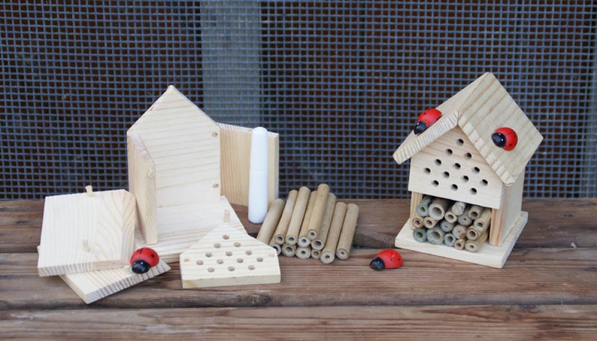 Gift in a Tin - ake your own Insect House