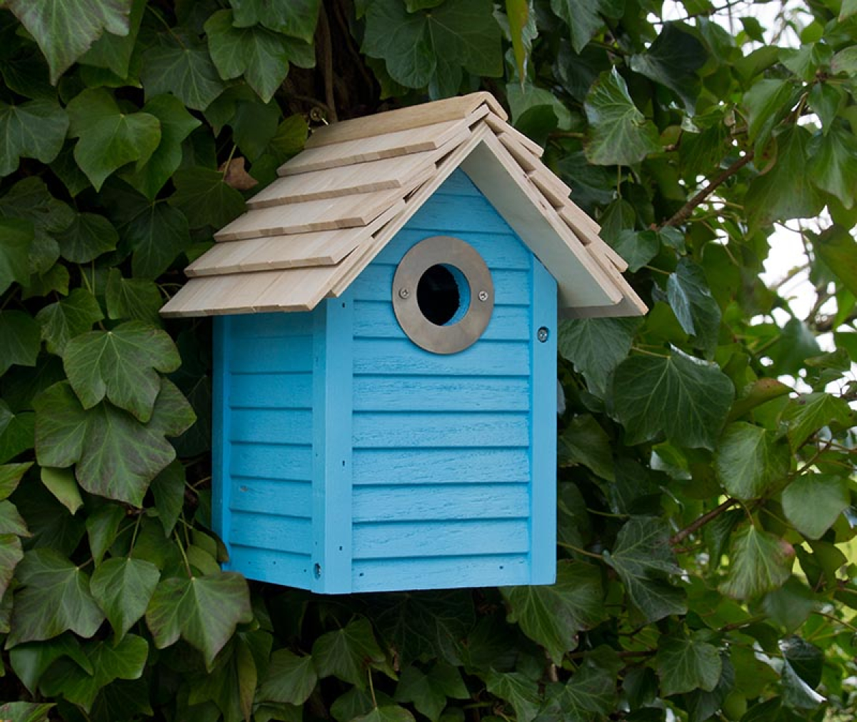 New England Nest Box - Blue