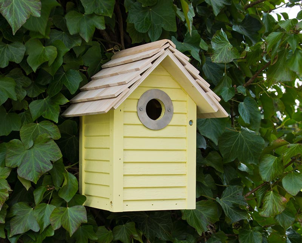 New England Nest Box - Yellow