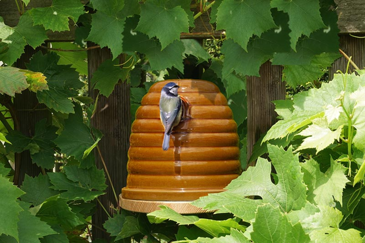 Ceramic Bumblebee Nester