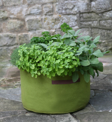 Vigoroot Herb Planter