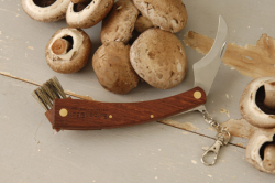 Mushroom Collecting Knife