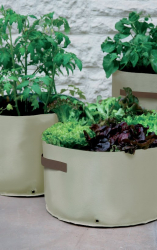 Vegetable Planter