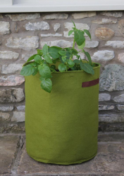 Vigoroot Tomato/Potato Planter