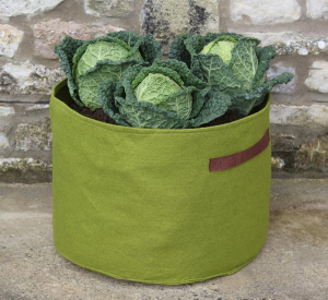 Vigoroot Vegetable Planter